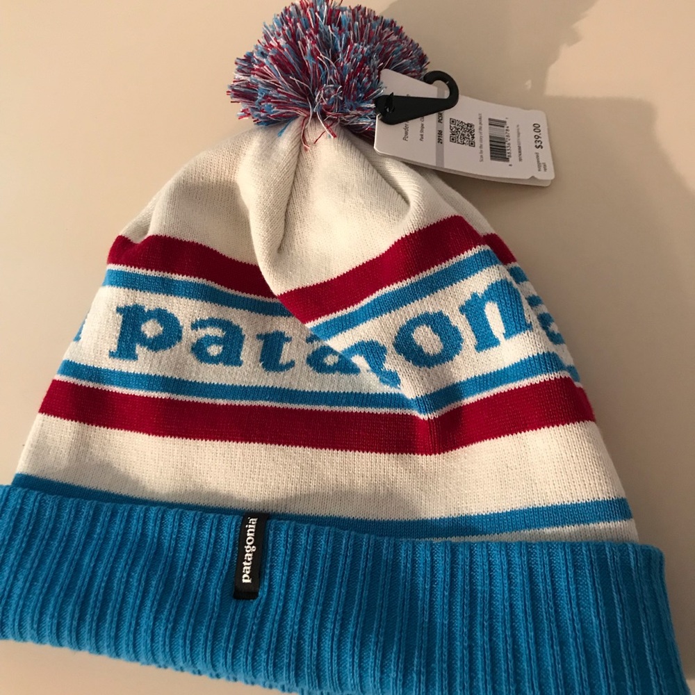 Patagonia winter hat
